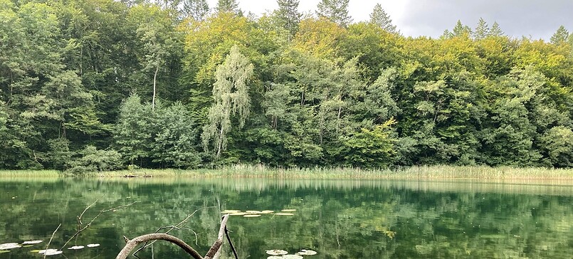 Wummsee - Circular Trail