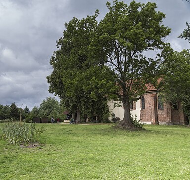 Zisterzienser Klosterruine Himmelpfort