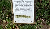 Geschichte zur Sage von der Strohbrücke, Foto: Jörg Bartz, Lizenz: TV Ruppiner Seenland e.V.
